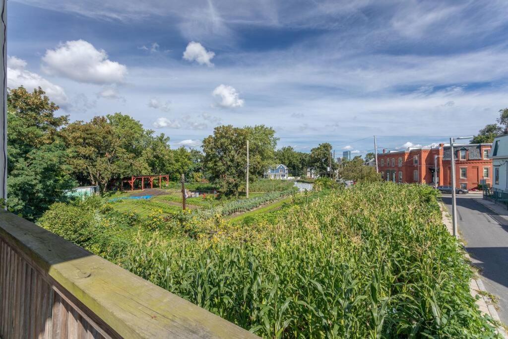 New! Boston Condo Near Mbta, 3 Mi To Fenway! Extérieur photo